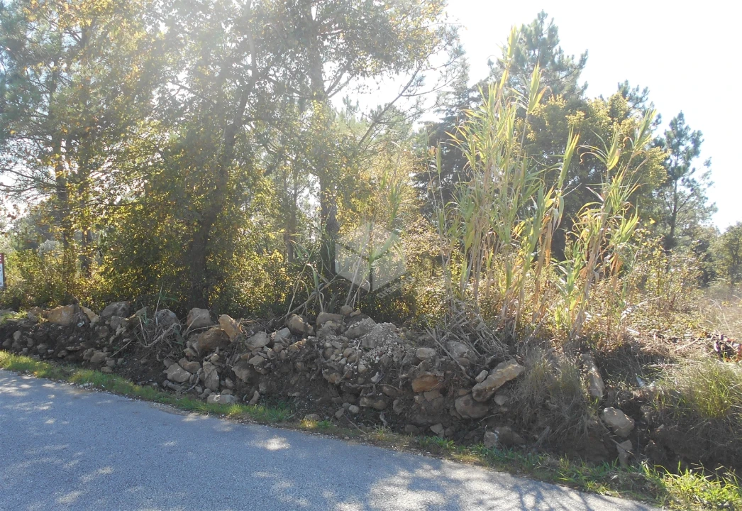 Terreno para Venda em Alhadas Foto 1