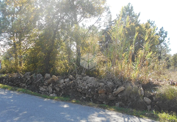 Terreno para Venda em Alhadas