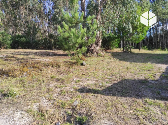 Terreno para Venda em Quiaios Foto 6