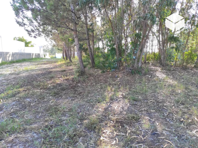 Terreno para Venda em Quiaios Foto 1