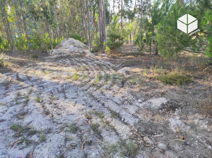 Terreno para Venda em Quiaios Foto 4