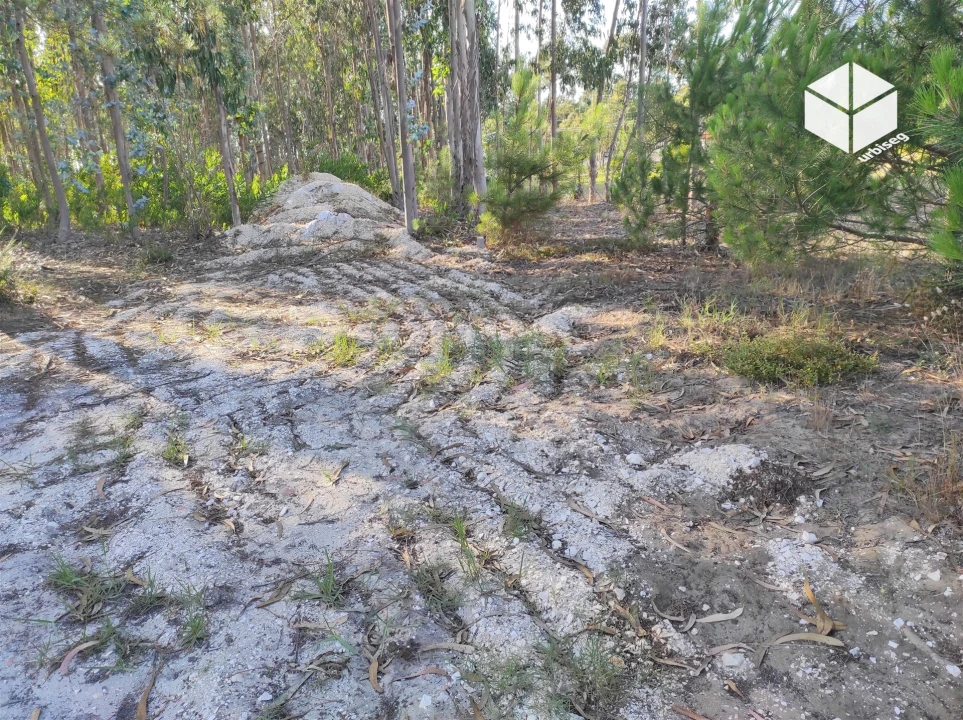 Terreno para Venda em Quiaios Foto 4