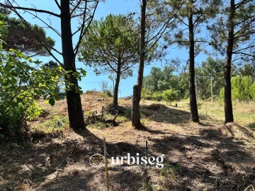 Terreno para Venda em Buarcos