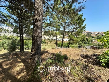 Terreno para Venda em Buarcos