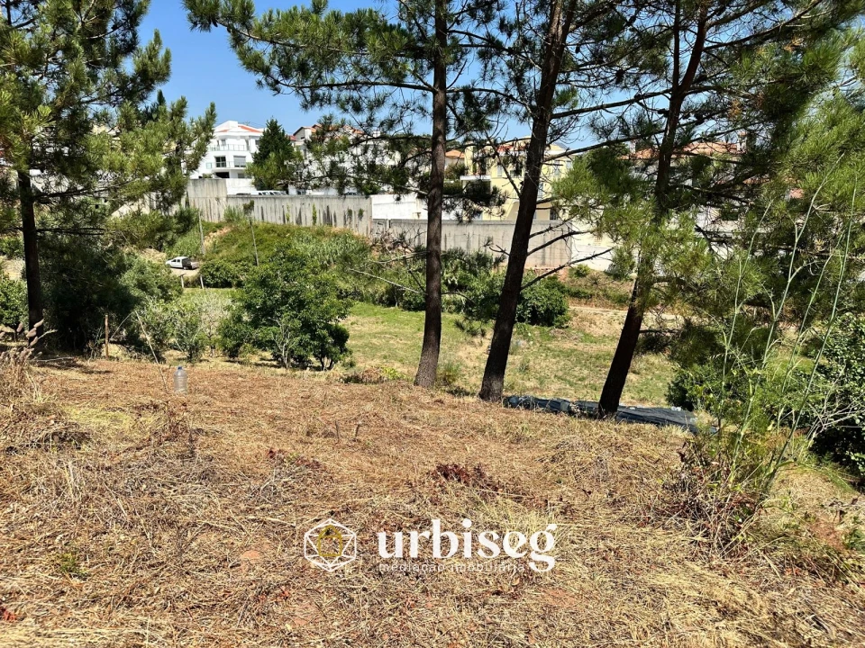 Terreno para Venda em Buarcos Foto 5