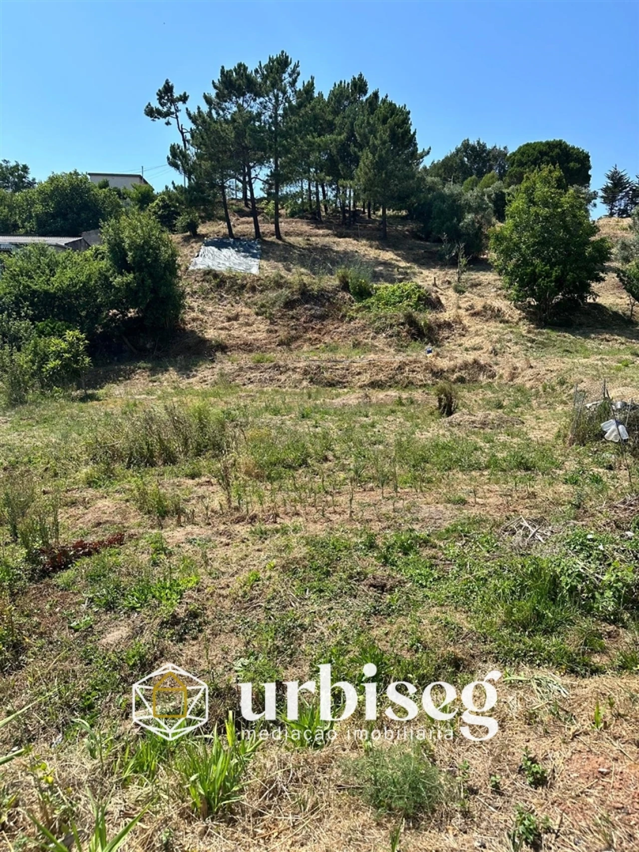 Terreno para Venda em Buarcos Foto 11