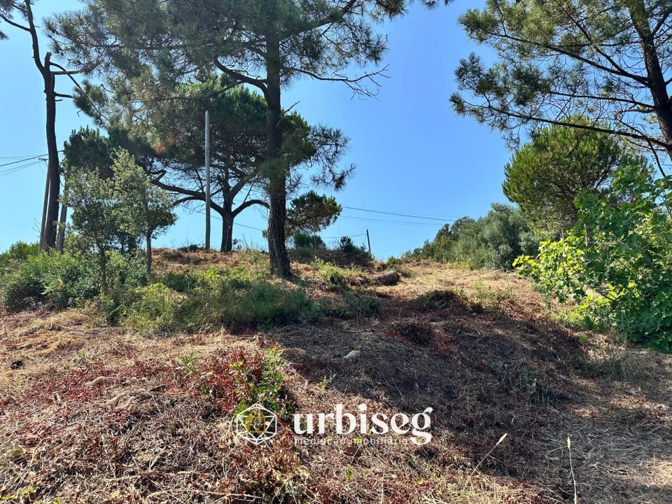 Terreno para Venda em Buarcos Foto 1