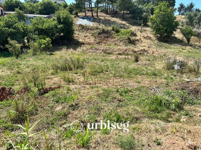 Terreno para Venda em Buarcos Foto 10