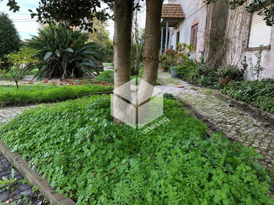 Moradia T9 para Venda em Lavos Foto 2