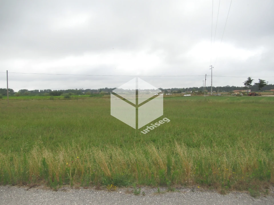 Terreno para Venda em Bom Sucesso Foto 3