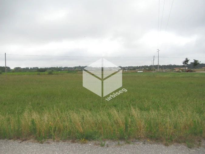 Terreno para Venda em Bom Sucesso Foto 3