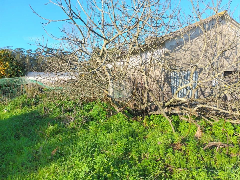 Moradia T6 para Venda em Tocha Foto 5