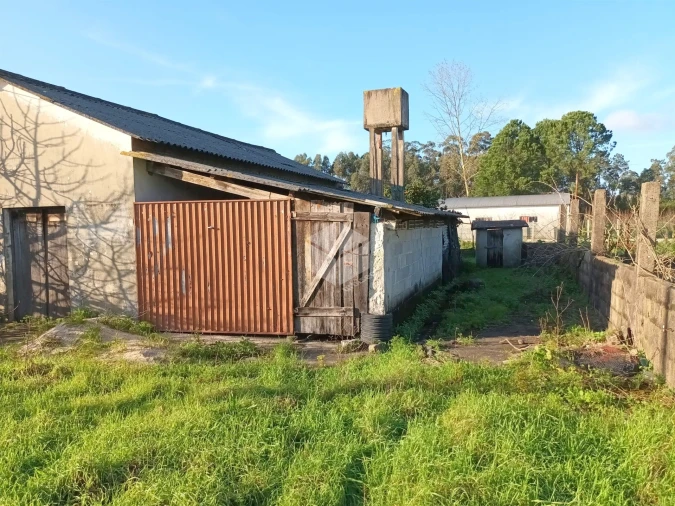 Moradia T6 para Venda em Tocha Foto 3