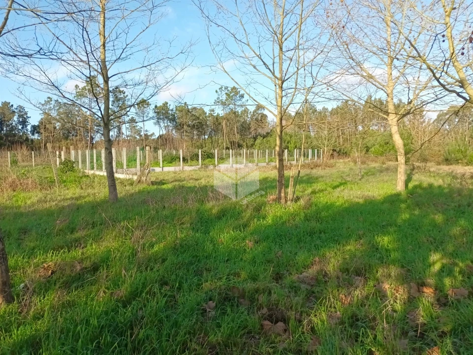 Moradia T6 para Venda em Tocha Foto 8