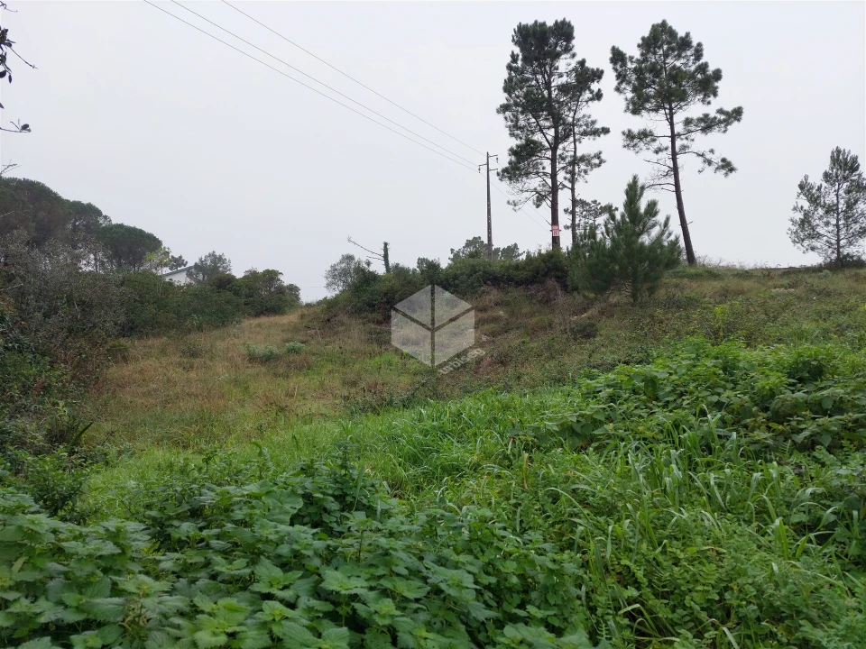 Terreno para Venda em Alhadas Foto 3