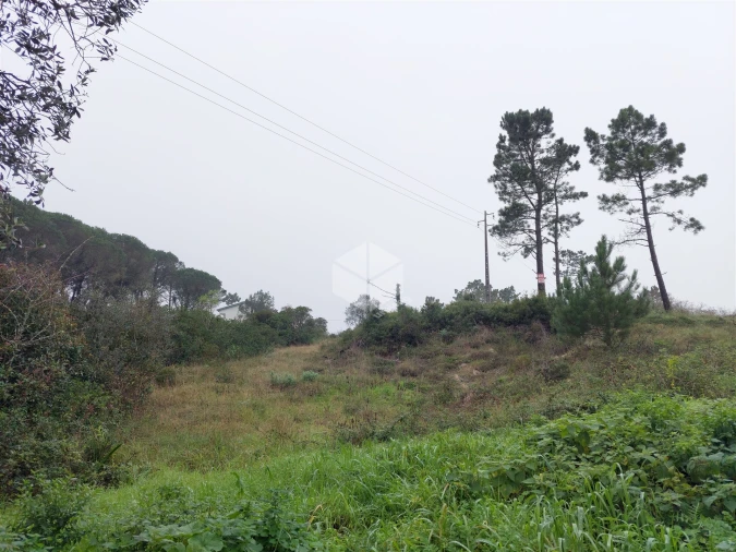 Terreno para Venda em Alhadas Foto 2