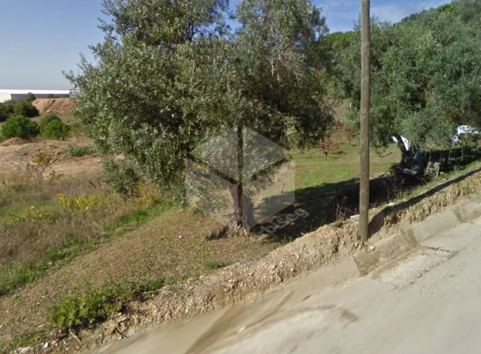 Terreno para Venda em Vila Verde Foto 2