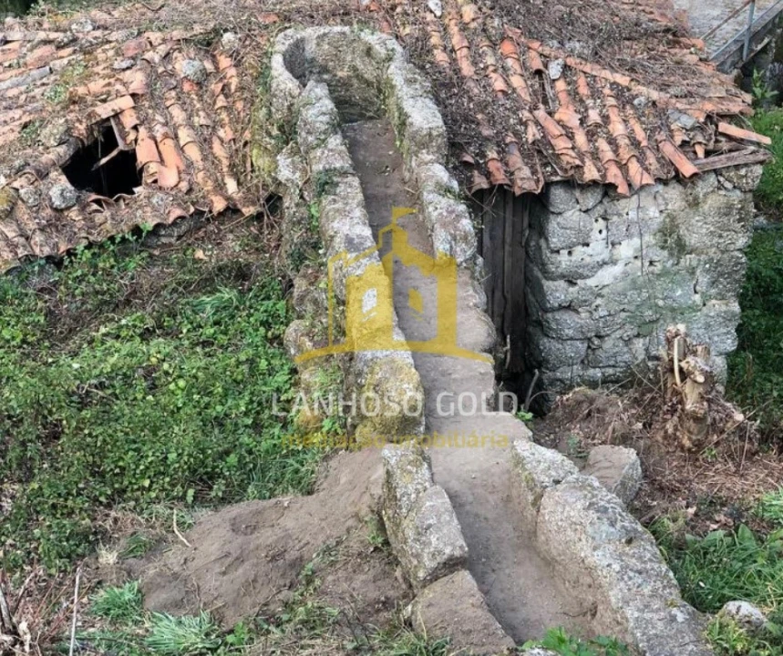 Quinta T3 para Venda em Caniçada e Soengas Foto 17