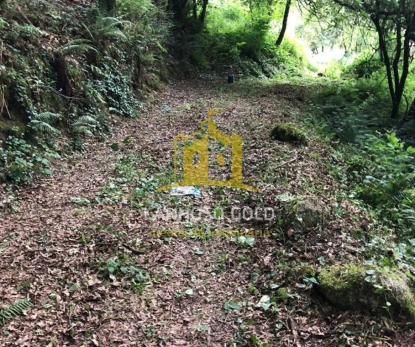 Quinta T3 para Venda em Caniçada e Soengas Foto 21