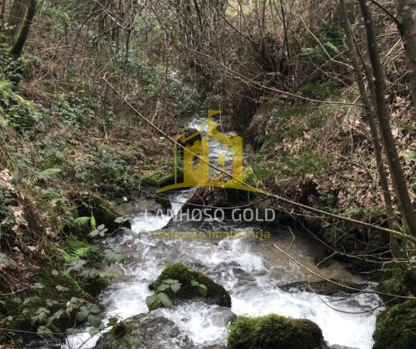 Quinta T3 para Venda em Caniçada e Soengas Foto 22