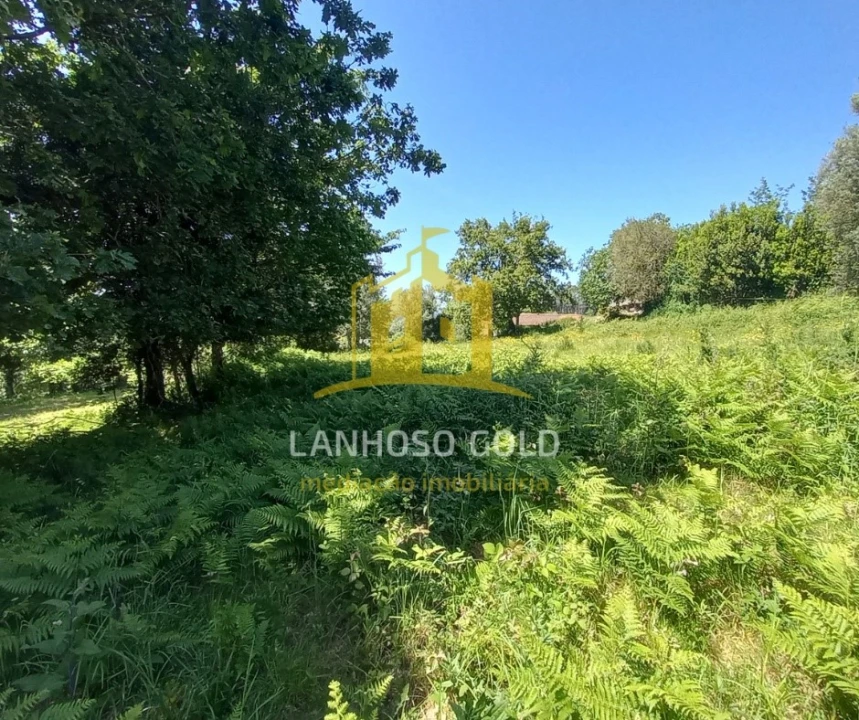 Terreno para Venda em Guilhofrei Foto 10