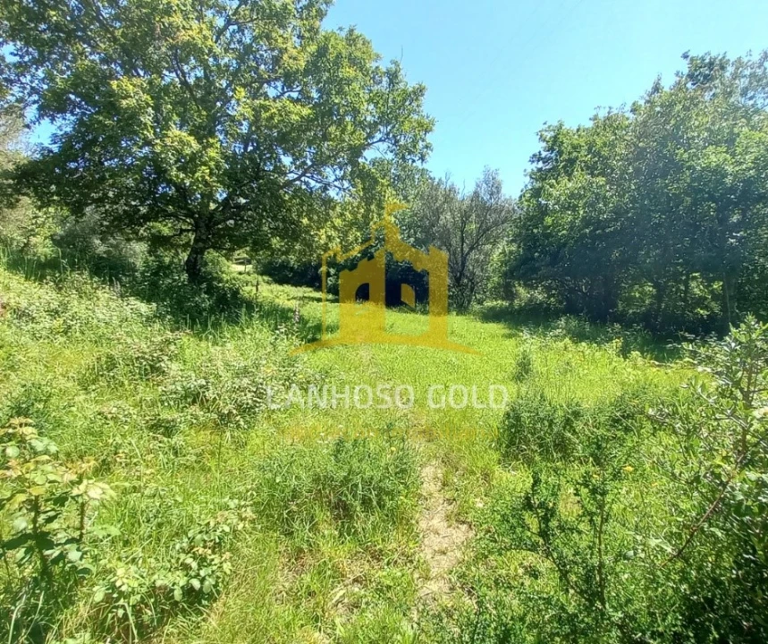 Terreno para Venda em Guilhofrei Foto 22