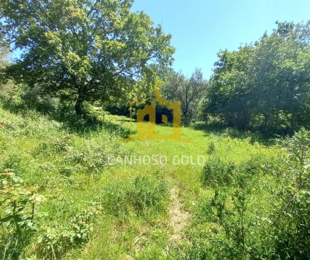 Terreno para Venda em Guilhofrei Foto 22