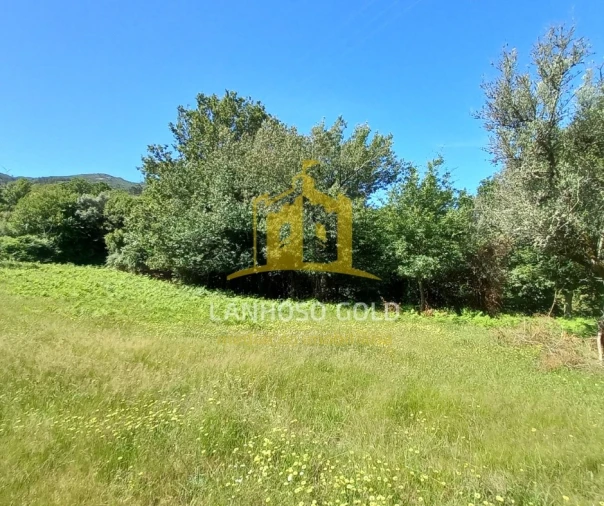 Terreno para Venda em Guilhofrei Foto 24