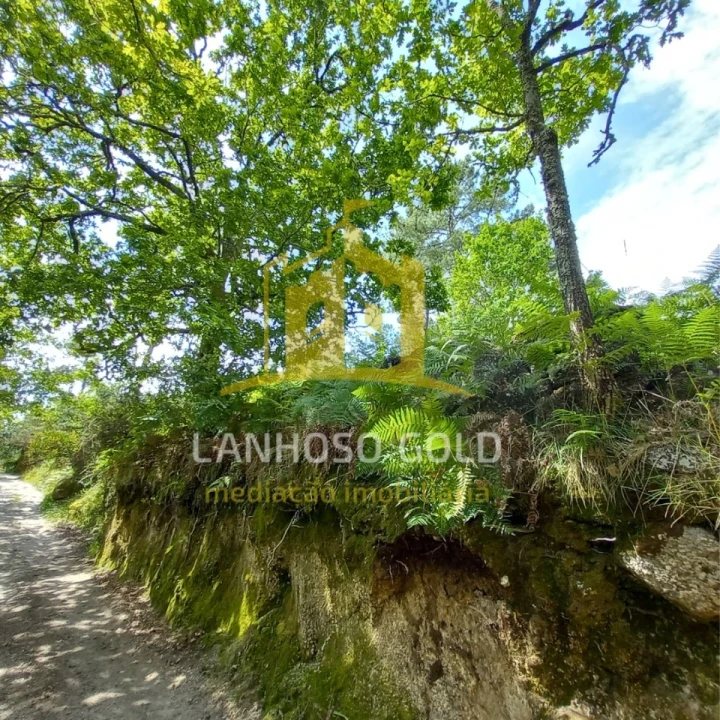 Terreno Agricola ou Rústico para Venda em Vieira do Minho Foto 2