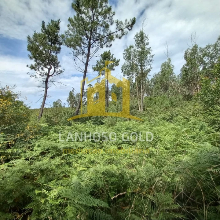 Terreno Agricola ou Rústico para Venda em Vieira do Minho Foto 1