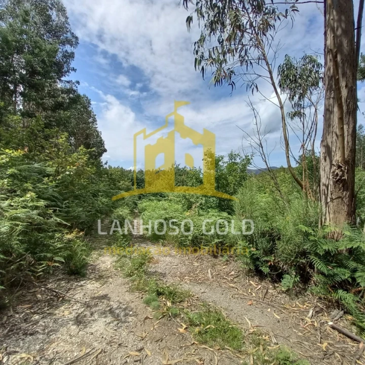 Terreno Agricola ou Rústico para Venda em Vieira do Minho Foto 4