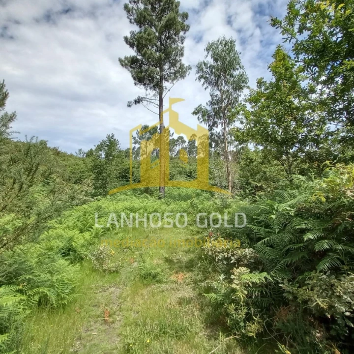 Terreno Agricola ou Rústico para Venda em Vieira do Minho Foto 7