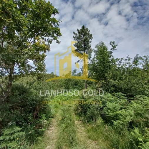 Terreno Agricola ou Rústico para Venda em Vieira do Minho Foto 3