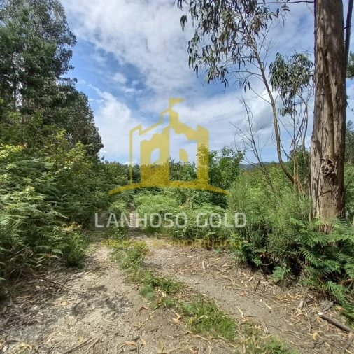 Terreno Agricola ou Rústico para Venda em Vieira do Minho Foto 4