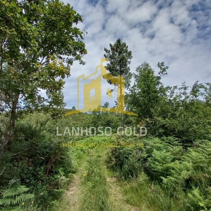 Terreno Agricola ou Rústico para Venda em Vieira do Minho Foto 7