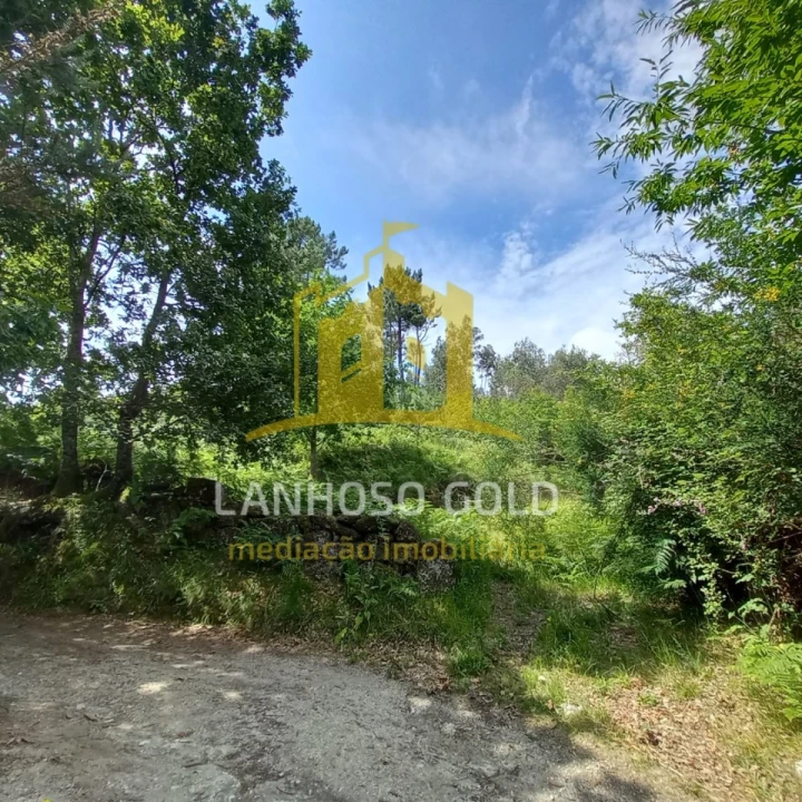 Terreno Agricola ou Rústico para Venda em Vieira do Minho Foto 11