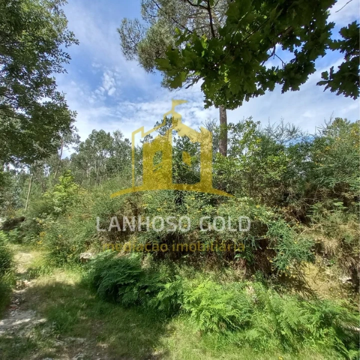Terreno Agricola ou Rústico para Venda em Vieira do Minho Foto 13