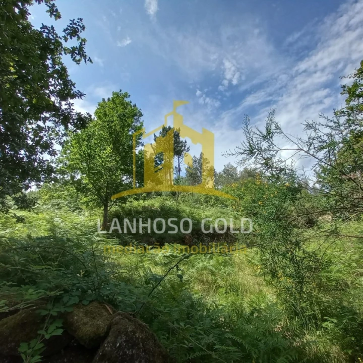 Terreno Agricola ou Rústico para Venda em Vieira do Minho Foto 14