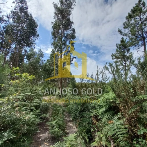 Terreno Agricola ou Rústico para Venda em Vieira do Minho Foto 2