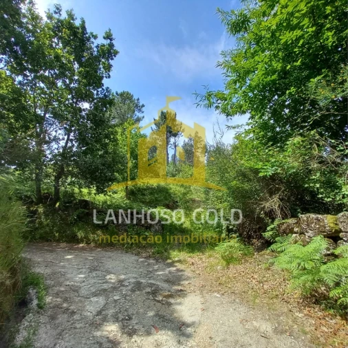 Terreno Agricola ou Rústico para Venda em Vieira do Minho Foto 10