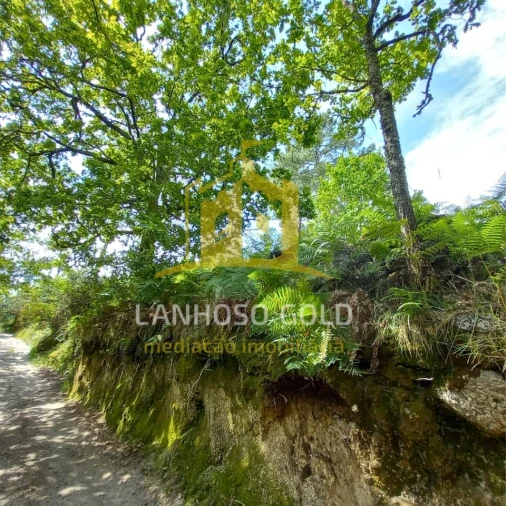 Terreno Agricola ou Rústico para Venda em Vieira do Minho Foto 12