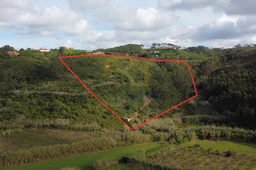 Terreno para Venda em Santo Isidoro Foto 11