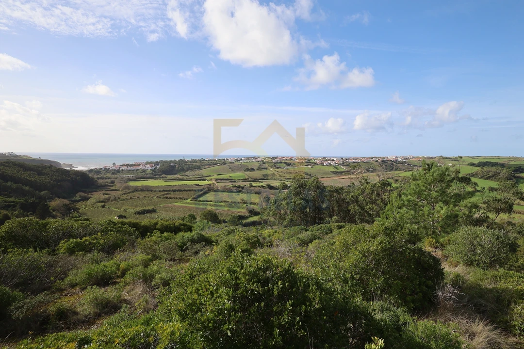 Terreno para Venda em Santo Isidoro Foto 8