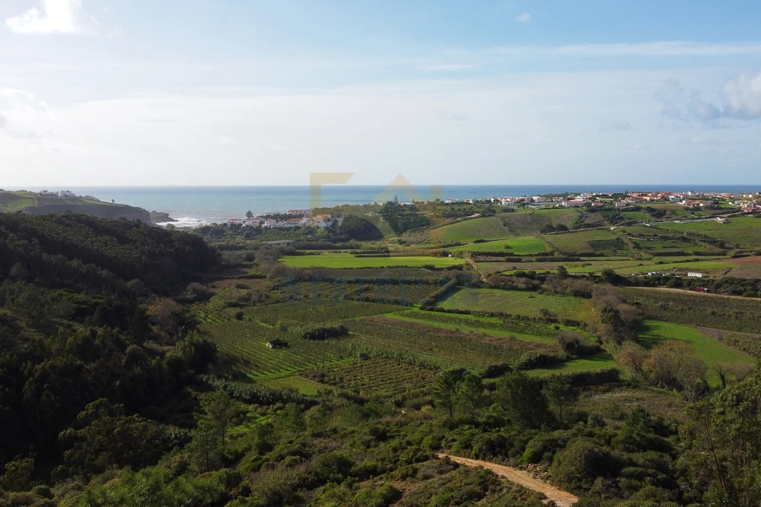 Terreno para Venda em Santo Isidoro Foto 1