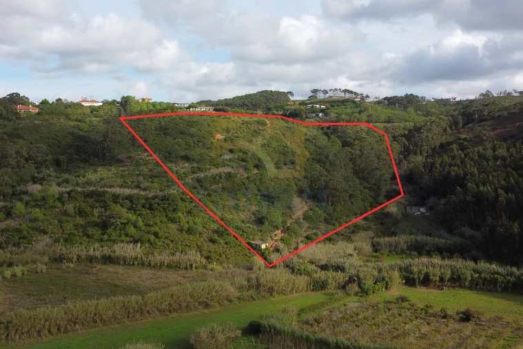 Terreno para Venda em Santo Isidoro Foto 11