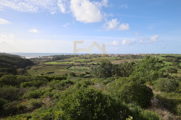Terreno para Venda em Santo Isidoro Foto 8