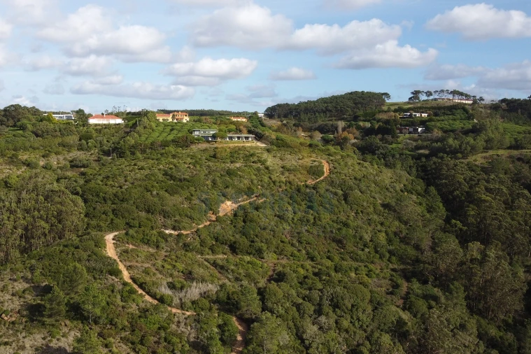 Terreno para Venda em Santo Isidoro Foto 6