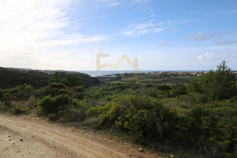 Terreno para Venda em Santo Isidoro Foto 5