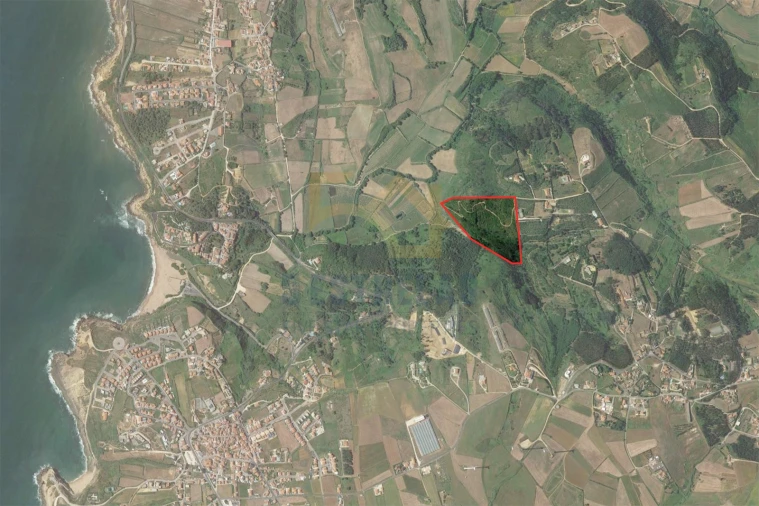 Terreno para Venda em Santo Isidoro Foto 13