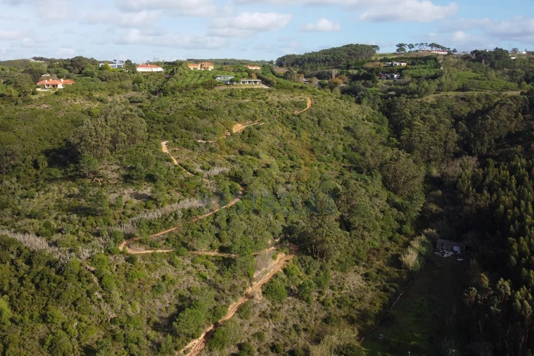 Terreno para Venda em Santo Isidoro Foto 7